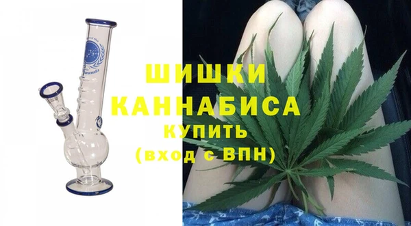 ГАЛЛЮЦИНОГЕННЫЕ ГРИБЫ Волосово
