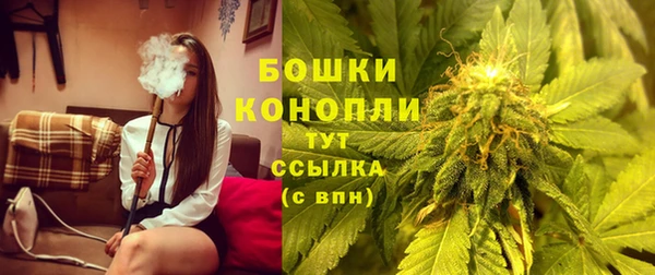 ГАЛЛЮЦИНОГЕННЫЕ ГРИБЫ Волосово