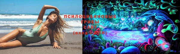 ГАЛЛЮЦИНОГЕННЫЕ ГРИБЫ Волосово