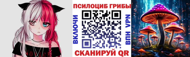 Псилоцибиновые грибы GOLDEN TEACHER  Пикалёво 