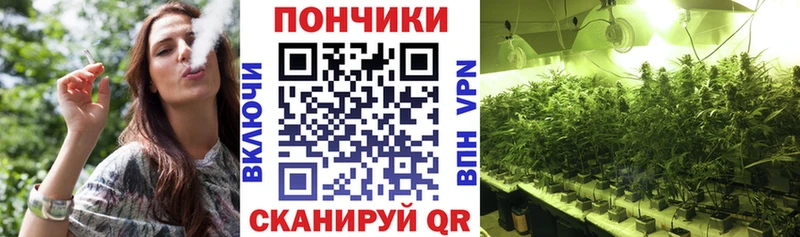 Марихуана Amnesia  где найти наркотики  Пикалёво 